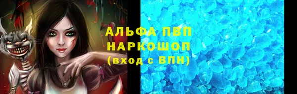 PSILOCYBIN Лабытнанги