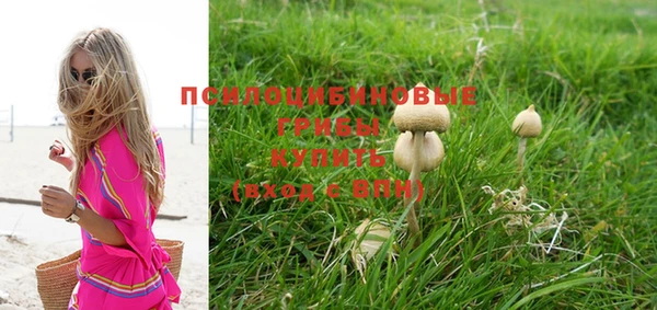 экстази Кулебаки