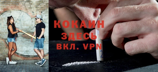 PSILOCYBIN Лабытнанги