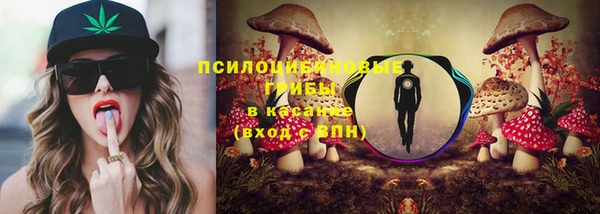 PSILOCYBIN Лабытнанги