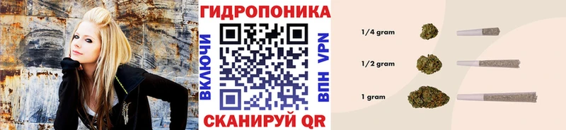 МАРИХУАНА ГИДРОПОН  Ленинградская 